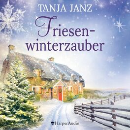 Album cover of Friesenwinterzauber (ungekürzt)