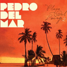 Album cover of Playa Del Lounge 2