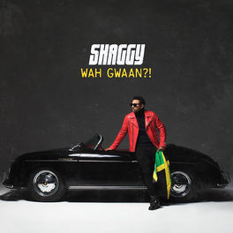 Album cover of Wah Gwaan?!