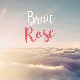 Album picture of Bruit Rose