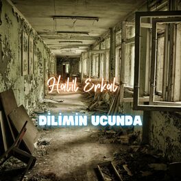 Album cover of Dilimin Ucunda