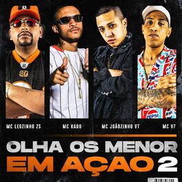 Album cover of Olha os Menor em Ação 2