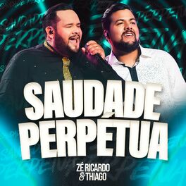 Album cover of Saudade Perpétua (Ao Vivo)