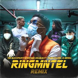 Album cover of Ringmntel Remix
