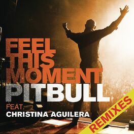 Album cover of Feel This Moment Remixes (feat. Christina Aguilera)