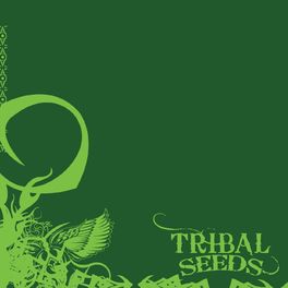 Album cover of Tribal Seeds