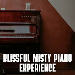 Album cover of Blissful Misty Piano Experience