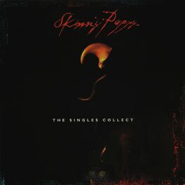 Album cover of The Singles Collect