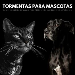 Album cover of Tormentas Para Mascotas: La Mejor Música De Lluvia Para Perros Con Ansiedad Por Separación