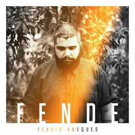 Album cover of Fende