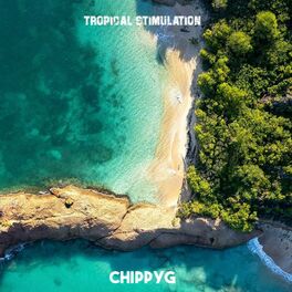 Album cover of Tropical Stimulation