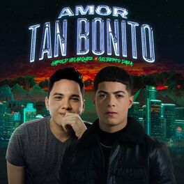 Album cover of Amor Tan Bonito