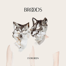 Album cover of Evergreen