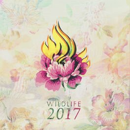 Album cover of 2017