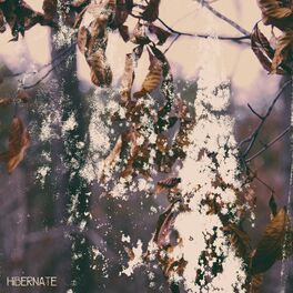 Album cover of Hibernate