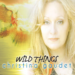Album cover of Wild Things