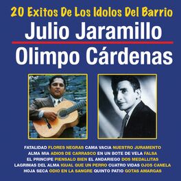 Album cover of 20 Exitos De Los Idolos Del Barrio