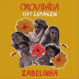 Album cover of Zabelinha