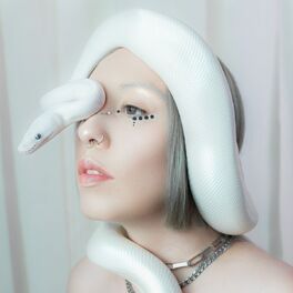 Album cover of THE FICTION