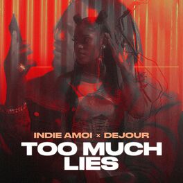 Album cover of Too Much Lies