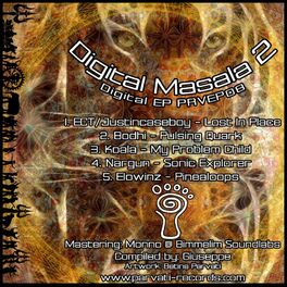 Album cover of Parvati Records Digital Masala, Vol. 2