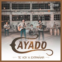 Album cover of Te Voy a Extrañar