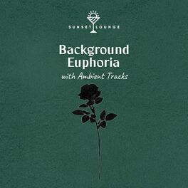 Album cover of zZz Background Euphoria with Ambient Tracks zZz