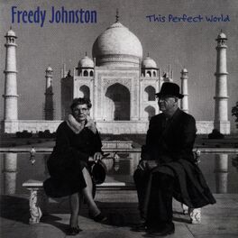 Album cover of This Perfect World