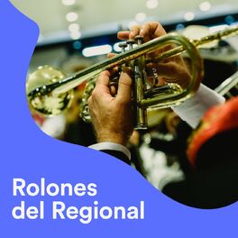 Album cover of Rolones del Regional