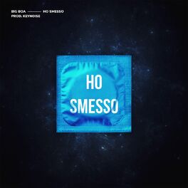 Album cover of Ho smesso