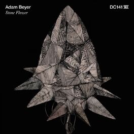 Album cover of Stone Flower