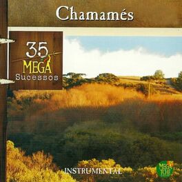 Album cover of Chamamés 35 Mega Sucessos