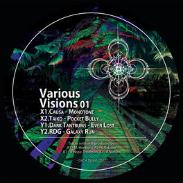 Album cover of Various Visions 01