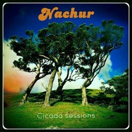 Album cover of Cicada Sessions