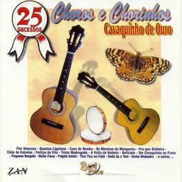 Album cover of 25 Sucessos: Choros e Chorinhos Cavaquinho de Ouro