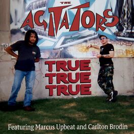 Album cover of True True True