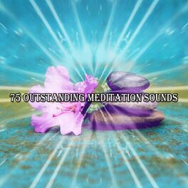Album cover of 75 Outstanding Meditation Sounds