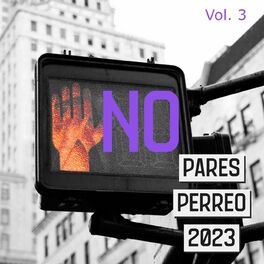 Album cover of No Pares Perreo 2023 Vol. 3