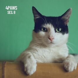 Album cover of 4Paws, Musica de dormir para perros y gatos, Tiernos momentos