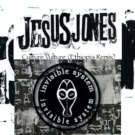 Album cover of Culture Vulture (feat. Jesus Jones) [Ethiopia Remix]