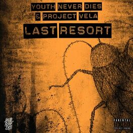 Album cover of Last Resort
