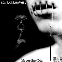 Album cover of Never Say Die
