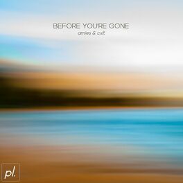 Album cover of Before You're Gone