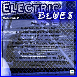 Album cover of Electric Blues, Vol. 2