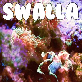 Album cover of Swalla (Tribute to Jason Derulo)