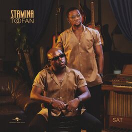 Album cover of Stamina