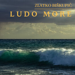 Album cover of Ludo more