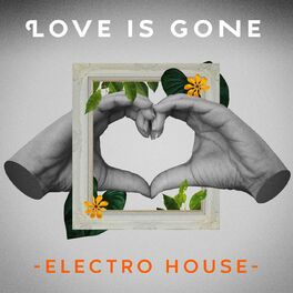 Album cover of Love Is Gone - Electro House
