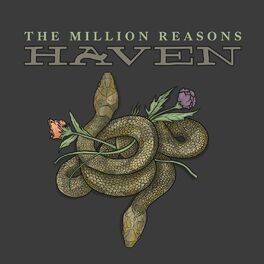 Album cover of Haven