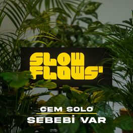 Album cover of Sebebi Var (Akustik)